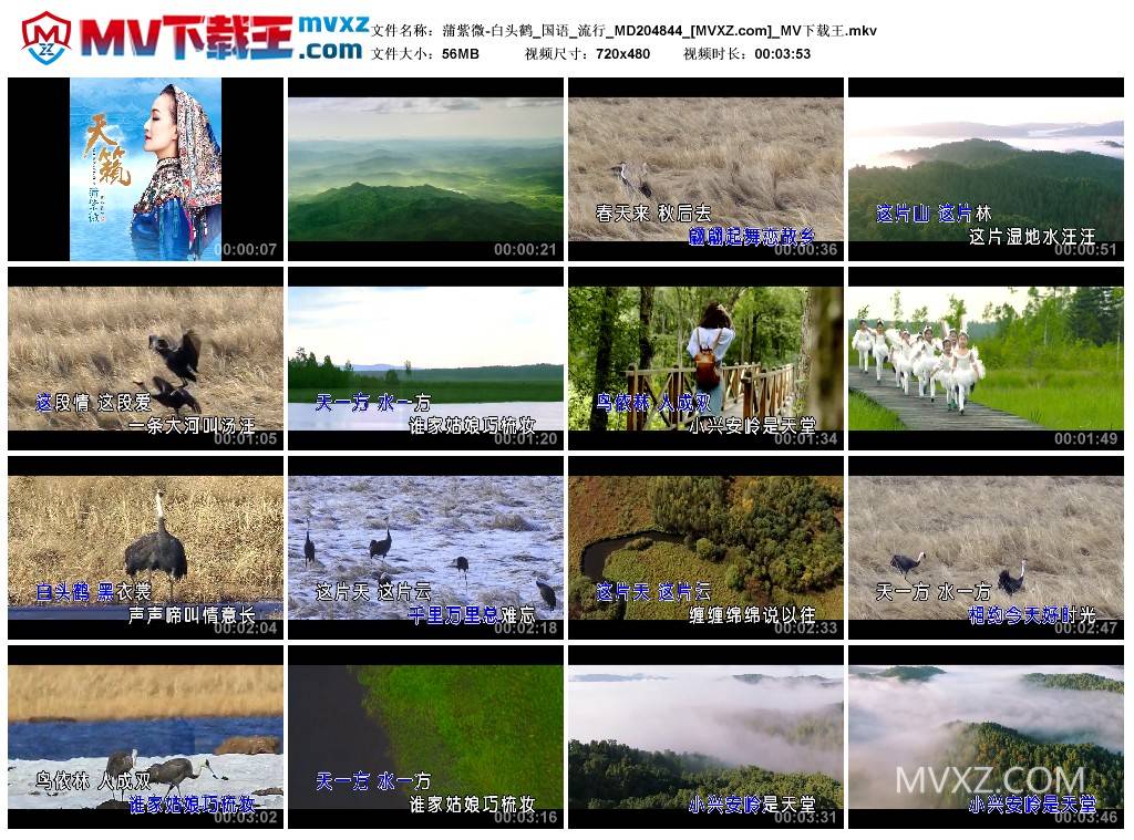 蒲紫微-白头鹤_国语_流行_MD204844